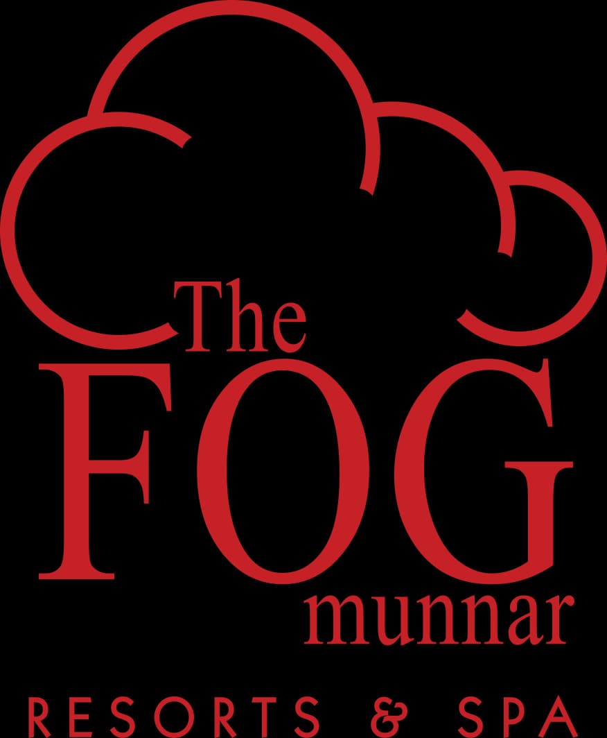 Fog