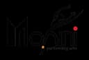 Mohini Performing Arts